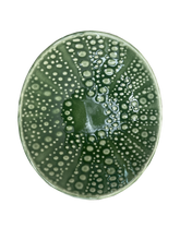 Load image into Gallery viewer, kina green