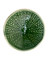 Load image into Gallery viewer, kina green