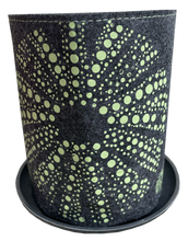 Load image into Gallery viewer, kina green on grey