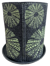 Load image into Gallery viewer, kina green on grey