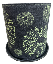 Load image into Gallery viewer, kina green on grey