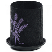 Load image into Gallery viewer, koromiko on dark grey