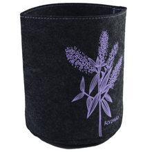 Load image into Gallery viewer, koromiko on dark grey