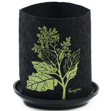 Load image into Gallery viewer, rangiora on dark grey