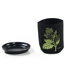 Load image into Gallery viewer, rangiora on dark grey