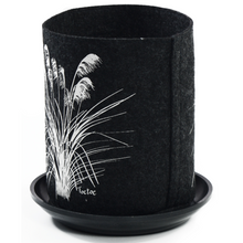 Load image into Gallery viewer, toetoe on dark grey