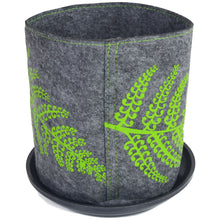 Load image into Gallery viewer, green fern on mid grey