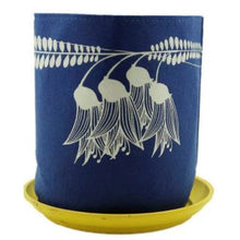 Load image into Gallery viewer, kowhai on royal blue