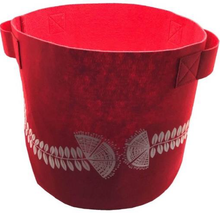 Load image into Gallery viewer, plant lovers set a - red/new zealand christmas tree