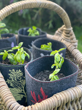 Load image into Gallery viewer, rewarewa on dark grey