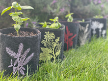 Load image into Gallery viewer, rewarewa on dark grey