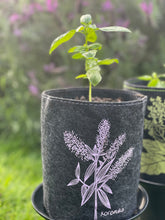 Load image into Gallery viewer, rewarewa on dark grey