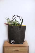 Load image into Gallery viewer, kowhai yellow & grey