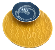 Load image into Gallery viewer, white kowhai on blue