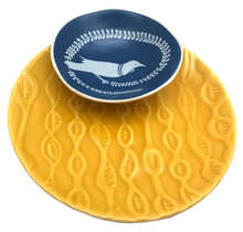 Load image into Gallery viewer, white tui on blue