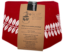 Load image into Gallery viewer, white pohutukawa on red