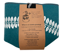 Load image into Gallery viewer, pohutukawa on teal