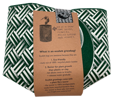 Load image into Gallery viewer, white fern kete on green