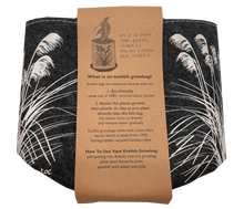 Load image into Gallery viewer, toetoe on dark grey