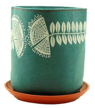 Load image into Gallery viewer, plant lovers set a - red/new zealand christmas tree