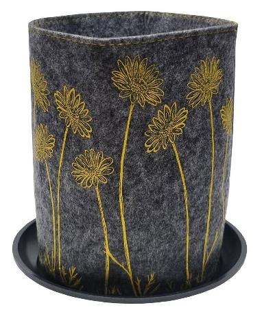 marguerite daisy on grey