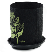 Load image into Gallery viewer, rangiora on dark grey
