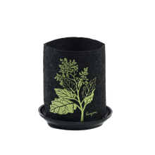 Load image into Gallery viewer, plant lovers set b - plants that heal or medicinal
