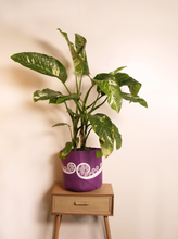 Load image into Gallery viewer, ponga purple &amp; green
