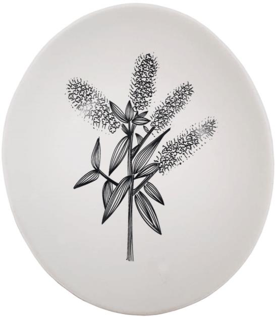 black koromiko on white